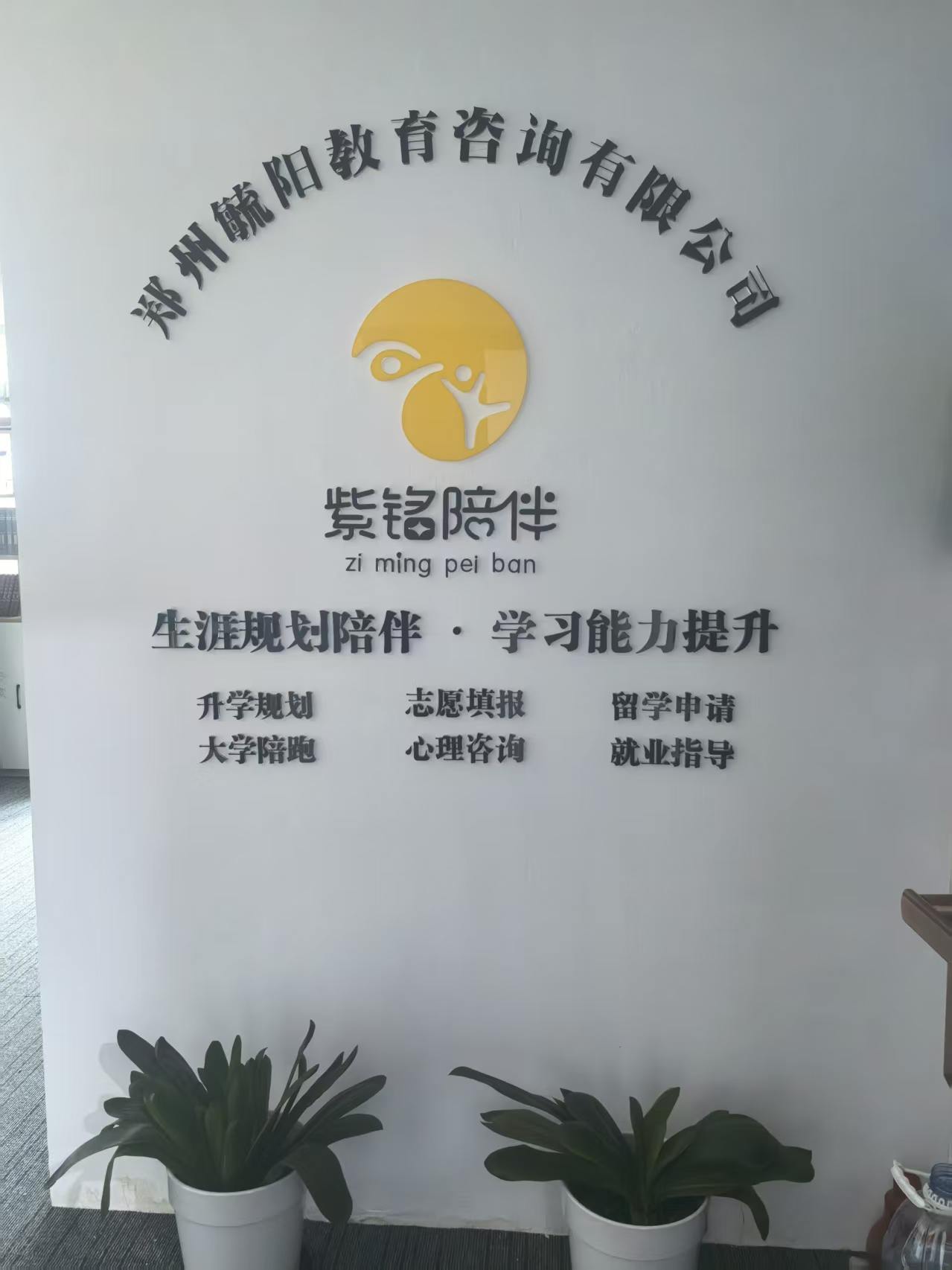 紫铭陪伴公司